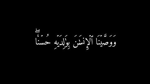 {ووصينا الإنسان بوالديه حسنا وإن جاهداك لتشرك بى} | #سورة_العنكبوت #شاشه_سوداء #quran  #islam #short