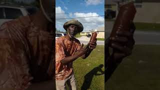 Miracle Energy Drwilfred Rolle Call 1 242 442 6322