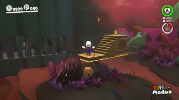 Database - Spider Shock