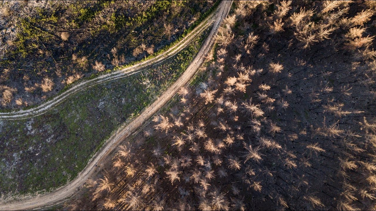 Rebuilding with salvaged timber after South Africa's worst forest fire