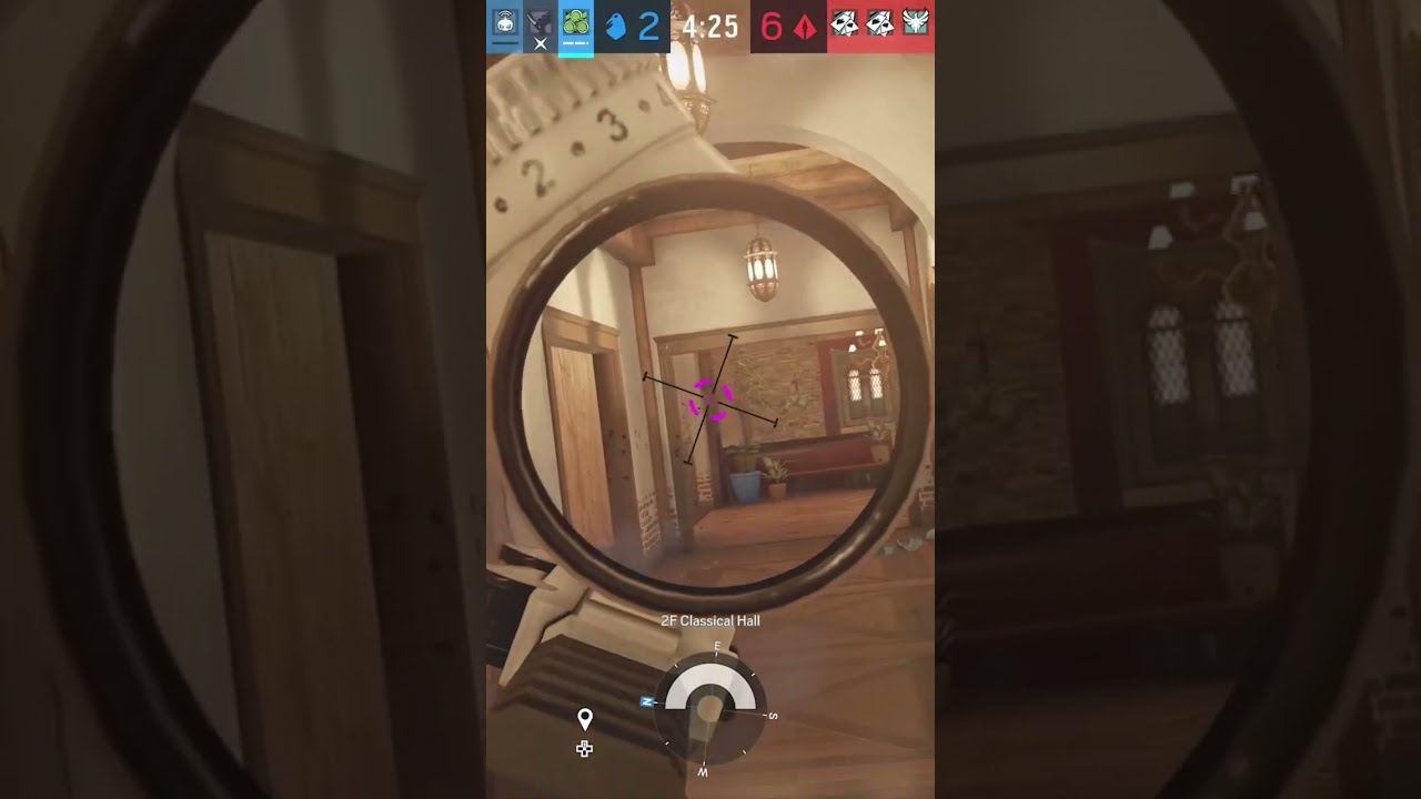 2 Bullets Headshots Shorts