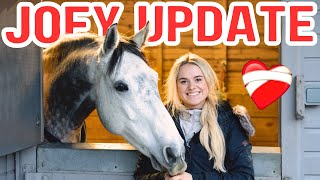 MAJOR JOEY UPDATE! When will he come home?