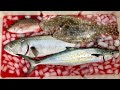How To Bleed Saltwater Fish (For Cleaner Fish Fillets)