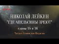 Николай Лейкин. «Где апельсины зреют». Аудиокнига. Главы 35 - 36