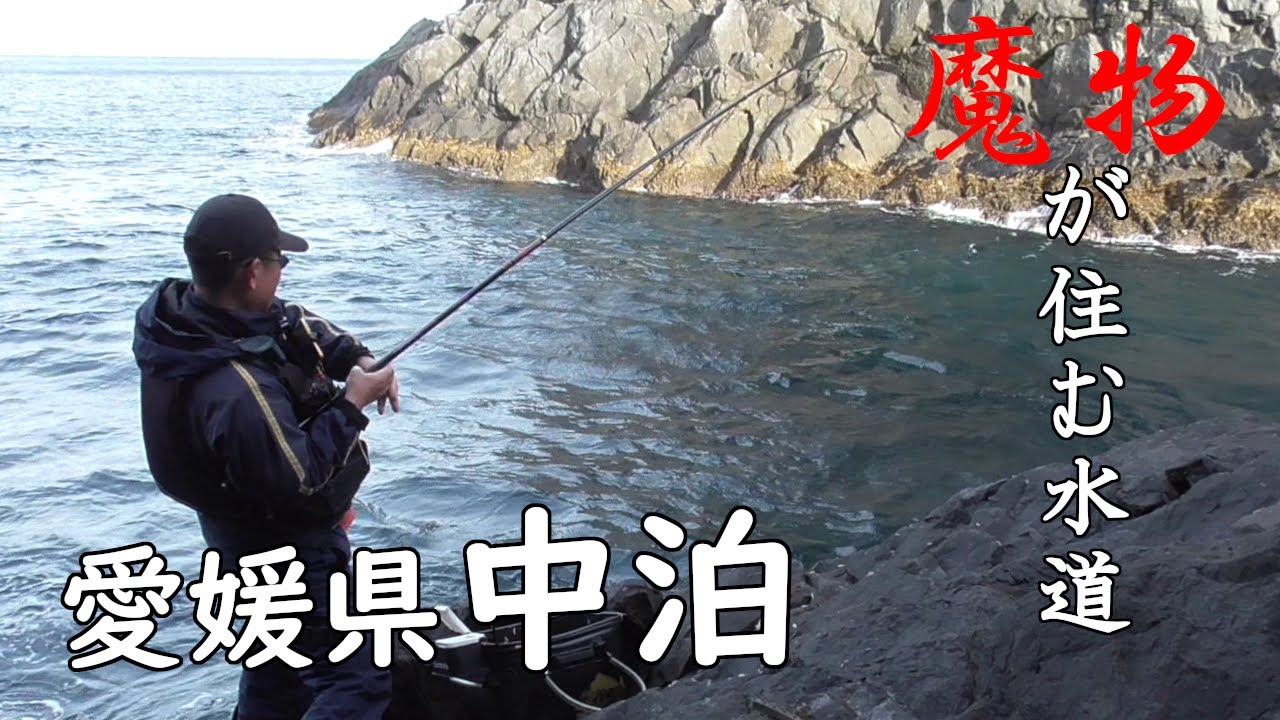 出た! 妖怪リール壊し 『愛媛県中泊グレ釣り』