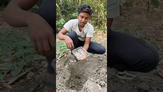 48 ঘন্টা পর এই দুটোর অবস্তা কি হলো 😲 Bengali mini vlog #minivlog #shorts #youtubeshorts #viral