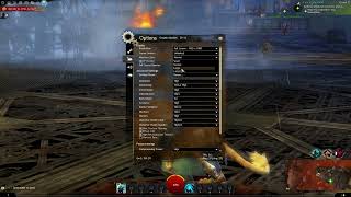 How To Change Interface Size In Guild Wars 2