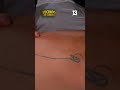 Paz realiza masaje a Felipe y conversan sobre los rumores que hay sobre ellos 😏#VecinosAlLímite 🏠