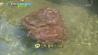 VJ 특공대 - 물에 뜨는 신비의 돌! 40kg의 제주도 화산 암석 ‘송이돌’!.20160429