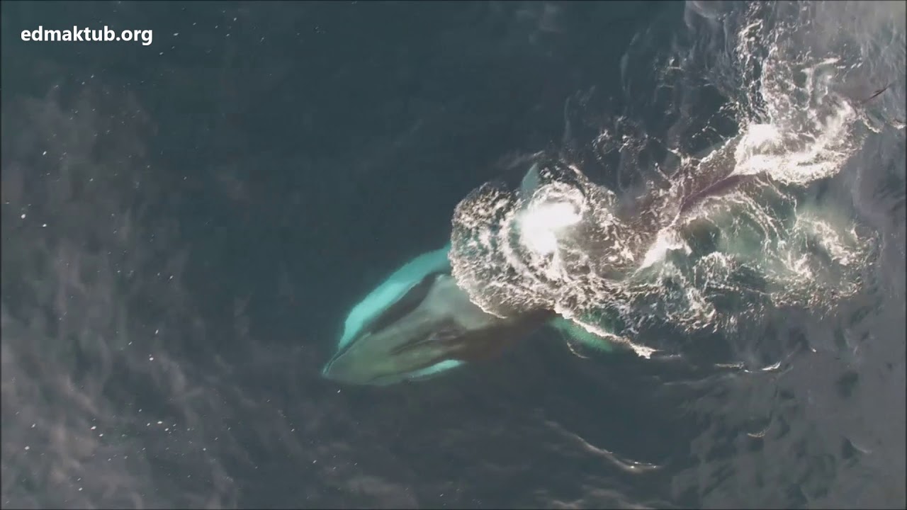 bulier1 - 플립 북 페이지 101-124 | FlipHTML5, image size:1280x720