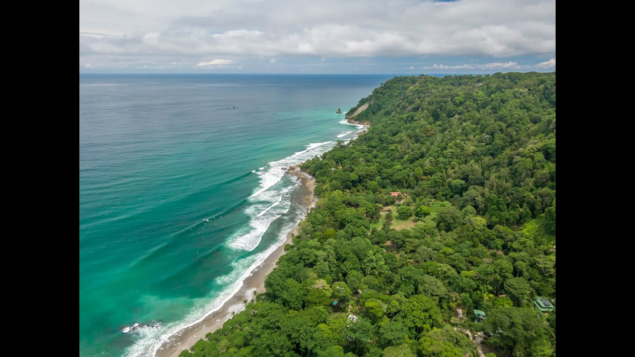 🌿 Escape to Paradise: Our Jungle Lodge on the Osa Peninsula 🌊🐒