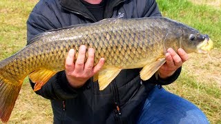 видео: Зарыбление Кабаньих прудов  Платная рыбалка  Челябинская область картинка: Зарыбление Кабаньих прудов  Платная рыбалка  Челябинская область