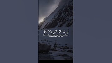 سورة البقرة الاية 186 | مشاري العفاسي #quran #المصحف #سورة_البقرة #مشاري_العفاسي