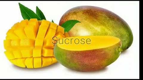 Constituents of Food Part- 1 EVS STD 5th - Chapter 19