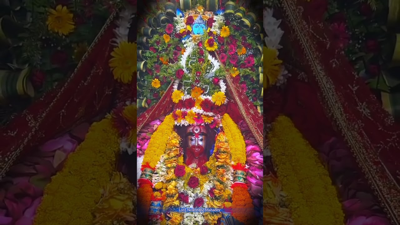 Tara maa status 🙏 তারা মায়ের গান 🙏 Kali pujo status 2025 