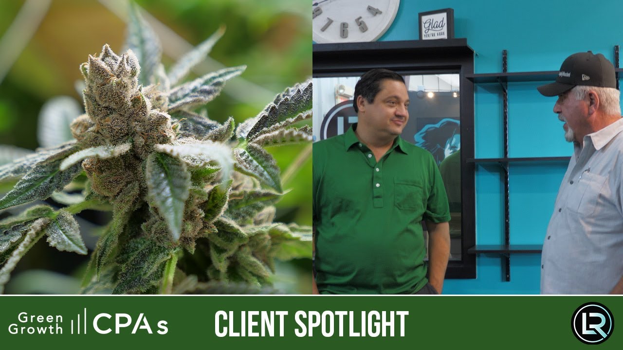 Cannabis CPA [Client Spotlight] - Legally Rooted - Oklahoma Cannabis
