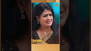 #Lakshmi #SunTV #shorts #tamilserial