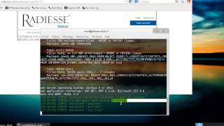 [SQL INJECTION] Sqlmap + Kali Linux