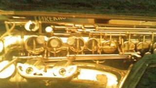 Peter Kantor Band Live 1995 Metajazz