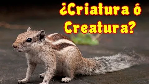 ¿Qué significa la palabra creatura?