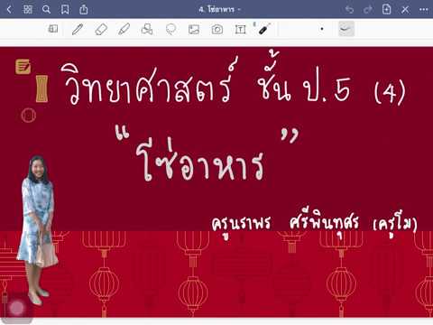 วิทยาศาสตร์ / ชีววิทยา เรื่อง โซ่อาหาร