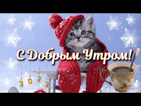 🥀Самая Нежная🥀открытка🥀с Добрым Утром!😘☕