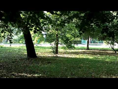 Видеоролик: Струковский сад
