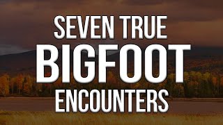 Bigfoot and a Maine Hunting Guide