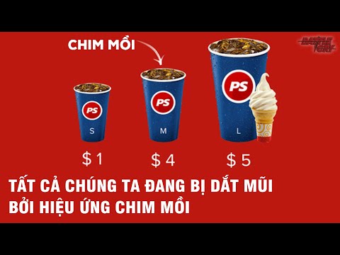 Video: Phẩm Giá Là Gì