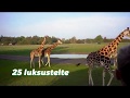 Luksus-safaritelte i Knuthenborg Safaripark