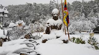 Carnoules sous la neige 2017