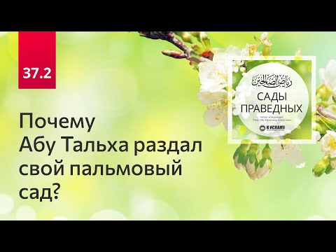 37.2 Почему Абу Тальха раздал свой пальмовый сад? Сады праведных. Ринат Абу Мухаммад