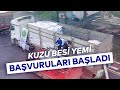 Kuzu bes yem bavurulari baladi