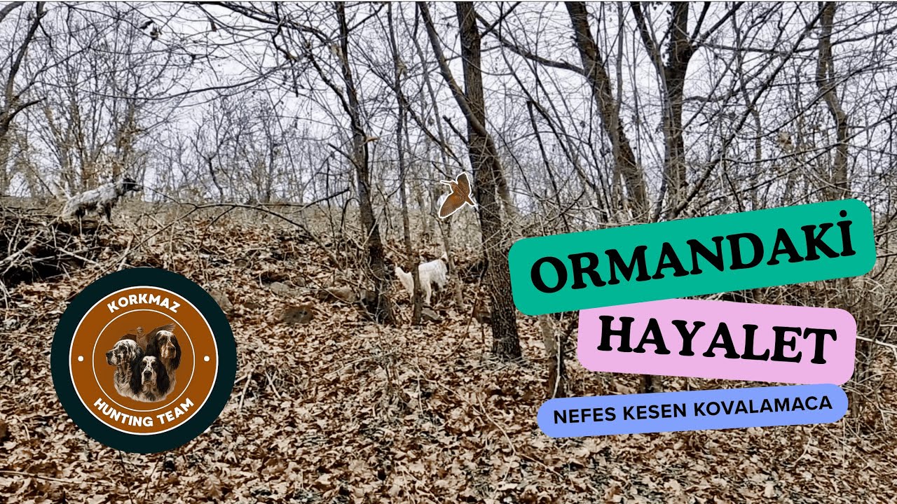 Çulluk Avı  Double Çulluk