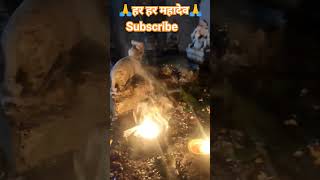 mahamrityunjay mantra | महामृत्युंजय मंत्र | shemaroo bhakti | Shiv Aarti shivaarti viralshivskti