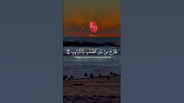 كرومات القرآن الكريم كروما شاشه سوداء#قران #تلاوة_خاشعة #قرآن_كريم #foryou #اكسبلور #duet #دويتو