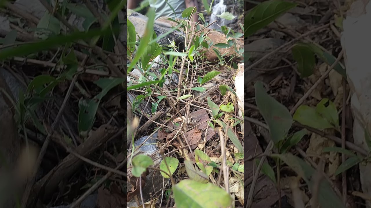 In the beginning God created Earth and heaven #  see God's Creation