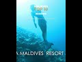 🏆 Amilla Maldives Resort &amp; Residences. No.5 Best Maldives Resort 2022. #shorts