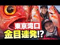 女船長【東京湾口で異変…初心者でも金目が】 #女船長 初の金目鯛炸裂