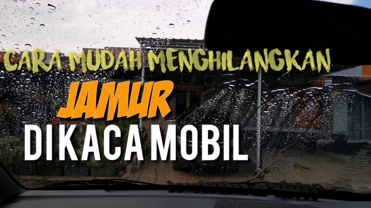  Cara  Menghilangkan  Jamur  di  Kaca Info otomotif YouTube