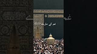 what's app status#musicfree#islamic status