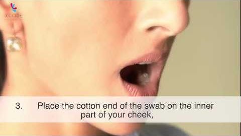 How to collect DNA from cheek cells using swab - Xcode Life