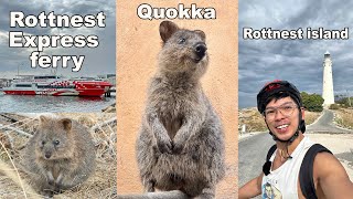 Rottnest island | Quokka | Rottnest Express  ferry