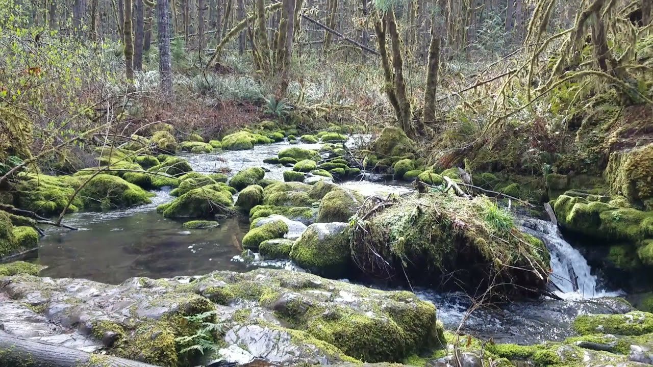 Eagles Rest trail from Hardesty Trailhead