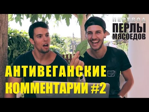 Чтение антивеганских комментариев #2