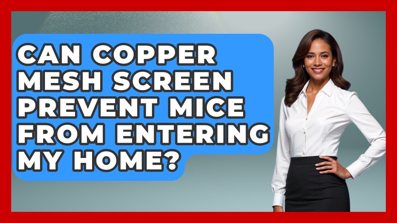 Can Copper Mesh Screen Prevent Mice From Entering My Home? - Insects and Invaders