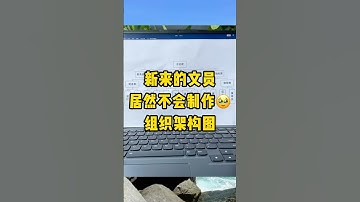 原来组织架构图的制作这么简单，怎么不早说 #组织架构图 #办公技巧 #excel技巧 #每天进步一点点 #不懂就问有问必答