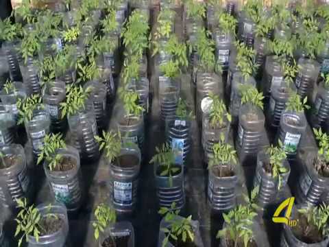 სოფლის მეურნეობის მინისტრი მარნეულში