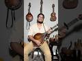 A song I wrote called “To dream of them” played on an Octave Mandolin #bard #musician #mandolin