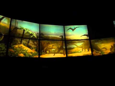 生命の誕生240411.wmv